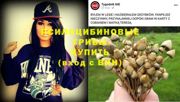 ГАЛЛЮЦИНОГЕННЫЕ ГРИБЫ Нягань