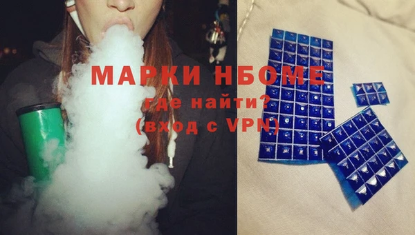 шишки Нязепетровск
