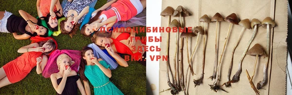 соль курить ск Няндома