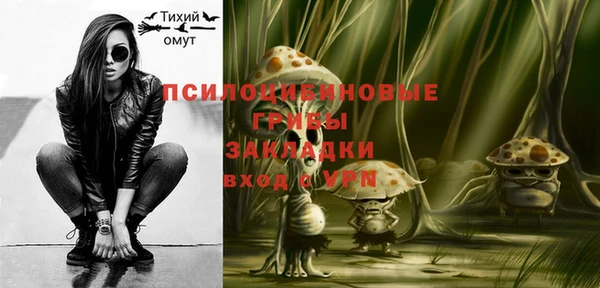 шишки Нязепетровск