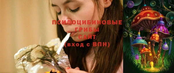 ГАЛЛЮЦИНОГЕННЫЕ ГРИБЫ Нягань