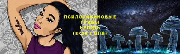 соль курить ск Няндома