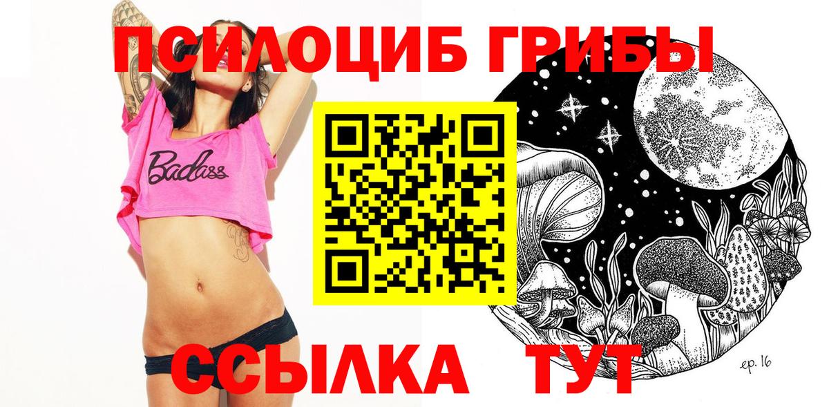 Волоколамск  Псилоцибиновые грибы MAGIC MUSHROOMS  Вход с VPN 