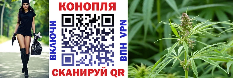 цены   мега tor  Каннабис сатива  Волоколамск 